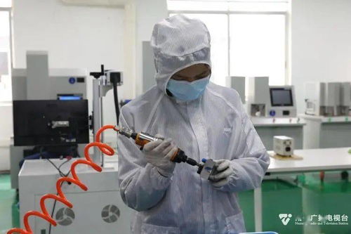 科技種子在南寧開花結果，網絡技術創新激發經濟新活力